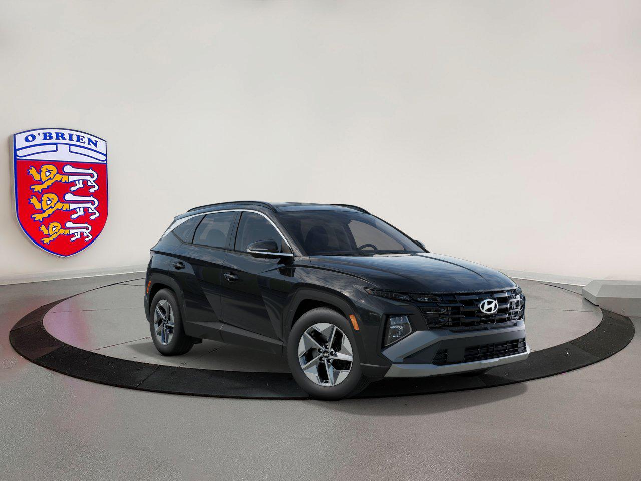 2025 Hyundai Tucson Hybrid SEL Convenience photo 2