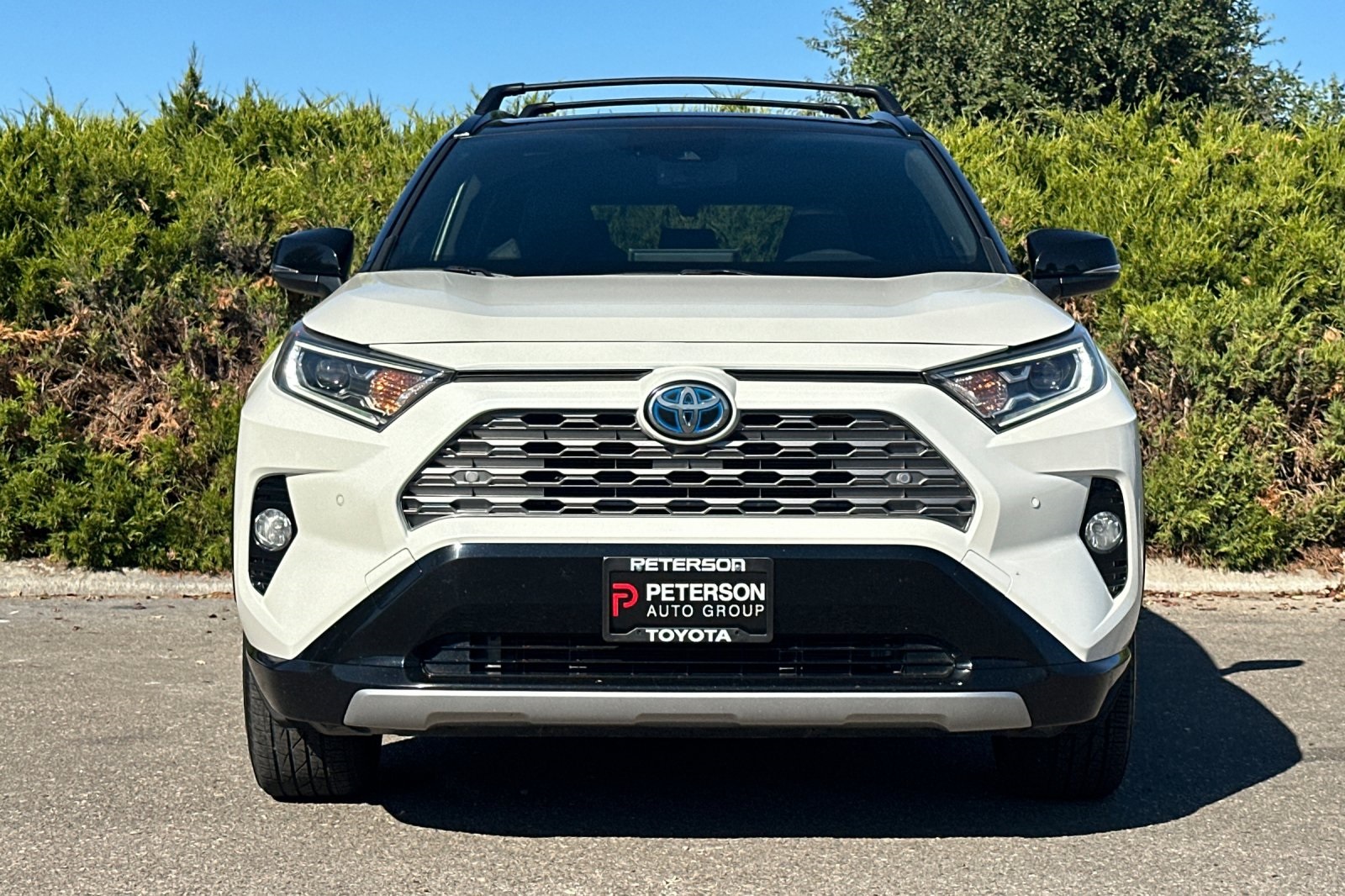 2019 Toyota RAV4 Hybrid XSE photo 7