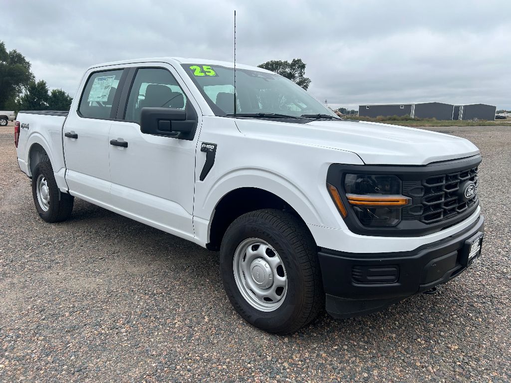 2025 Ford F-150 XL photo 3