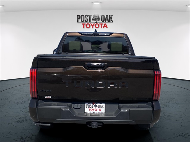 2022 Toyota Tundra 1794 Edition photo 6