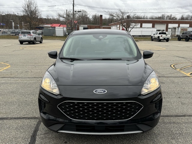 2020 Ford Escape SE photo 2