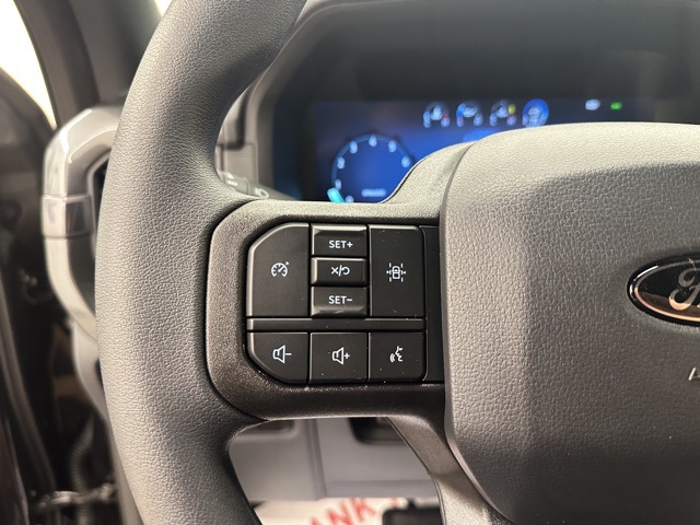 2025 Ford F-150 STX photo 17