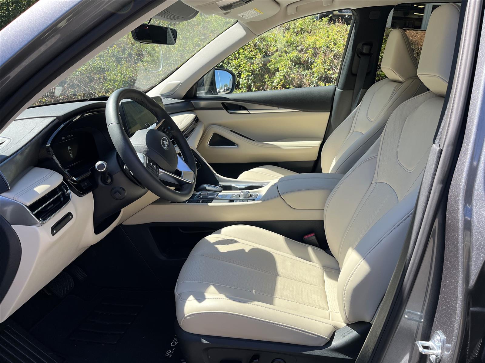 2025 Infiniti QX60 Luxe photo 2