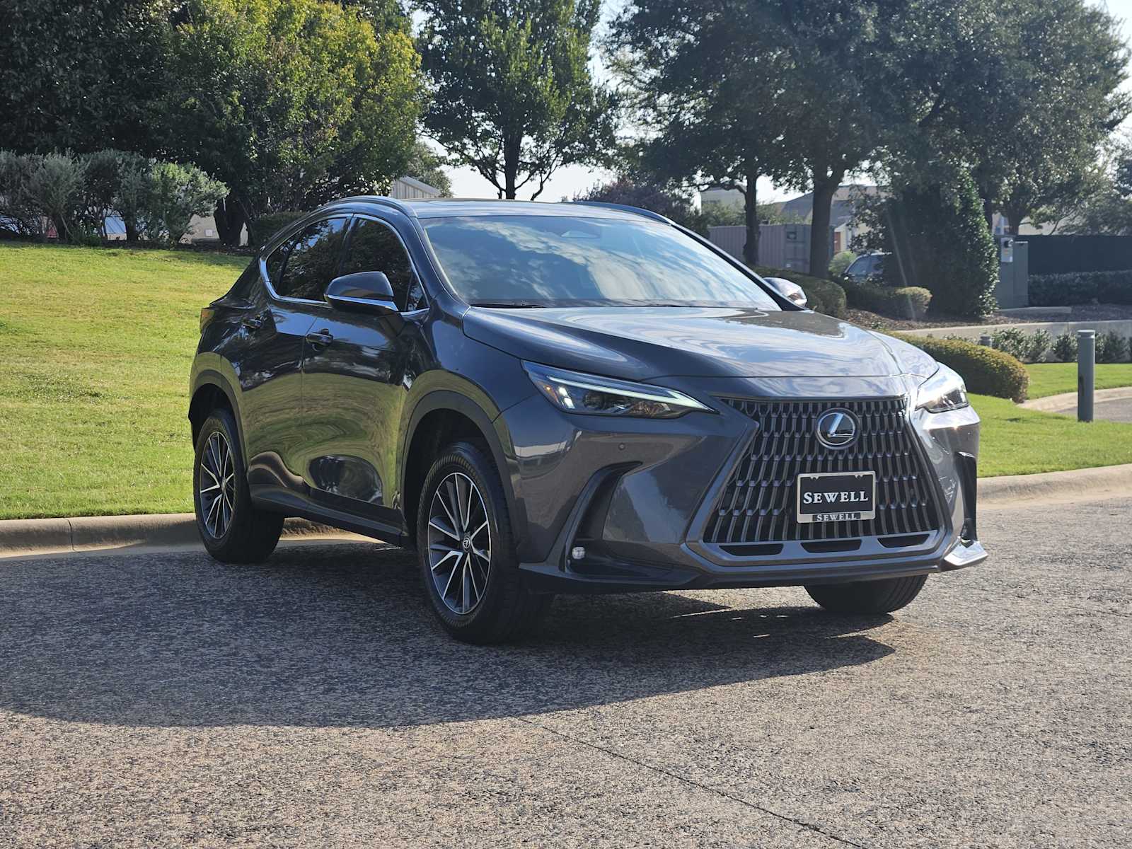 2025 Lexus NX 250 Premium photo 2