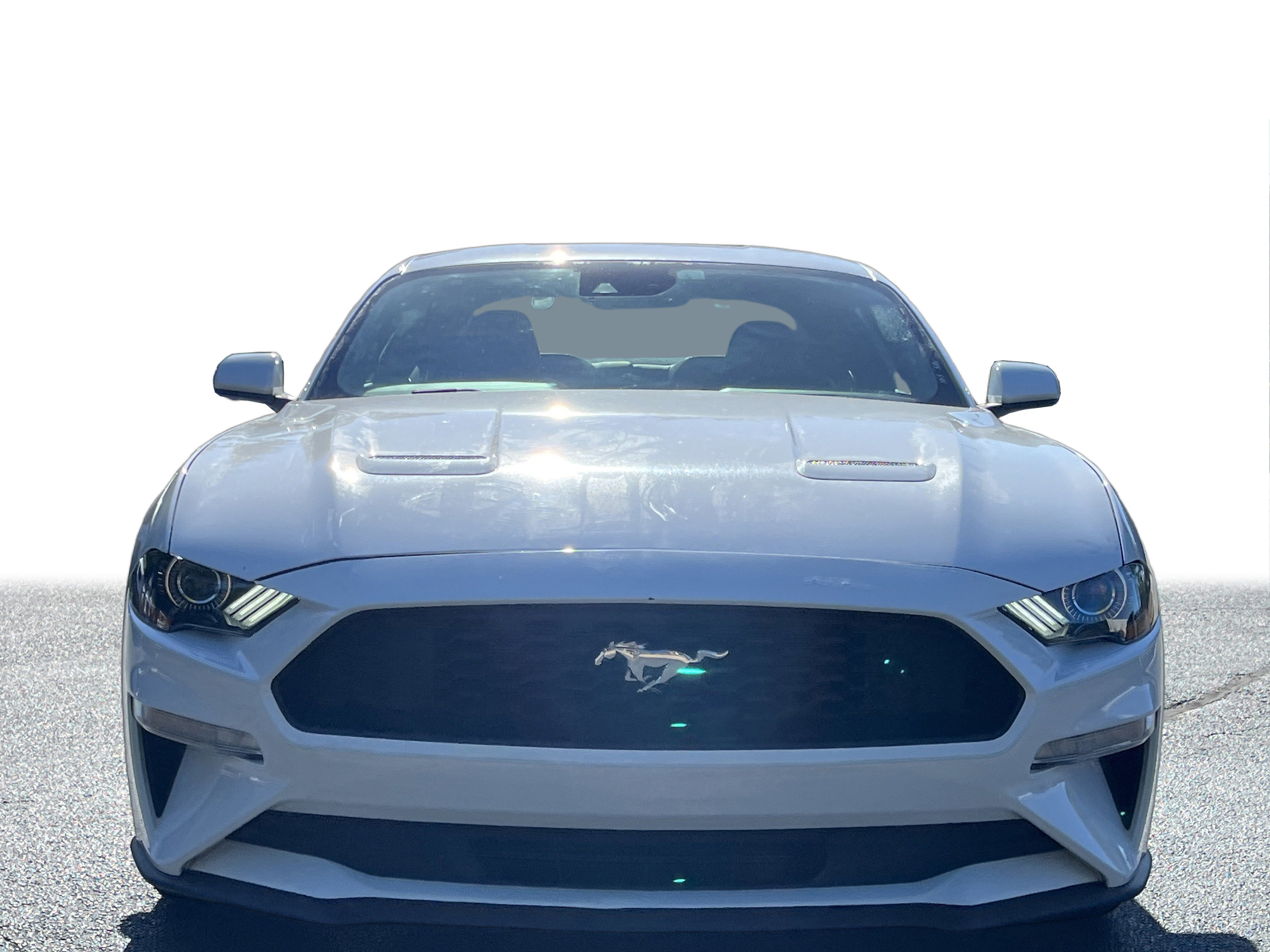 2023 Ford Mustang EcoBoost Premium photo 13