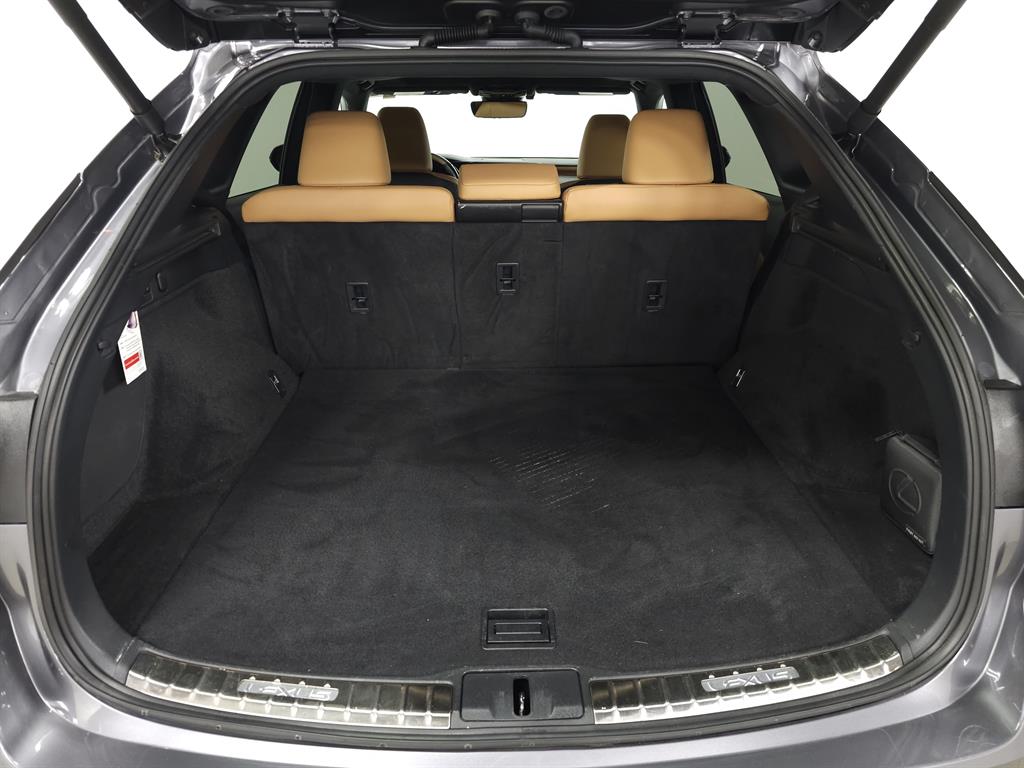 2023 Lexus RX 350 Premium photo 7