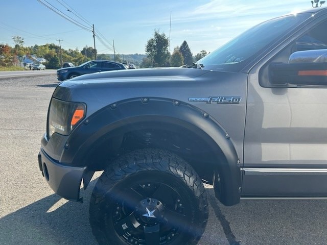 2010 Ford F-150 Platinum photo 2
