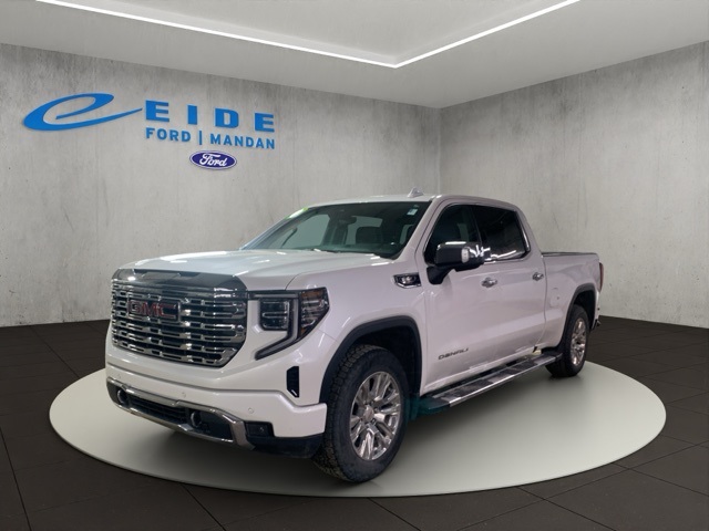 2023 Gmc Sierra 1500 Denali photo 4