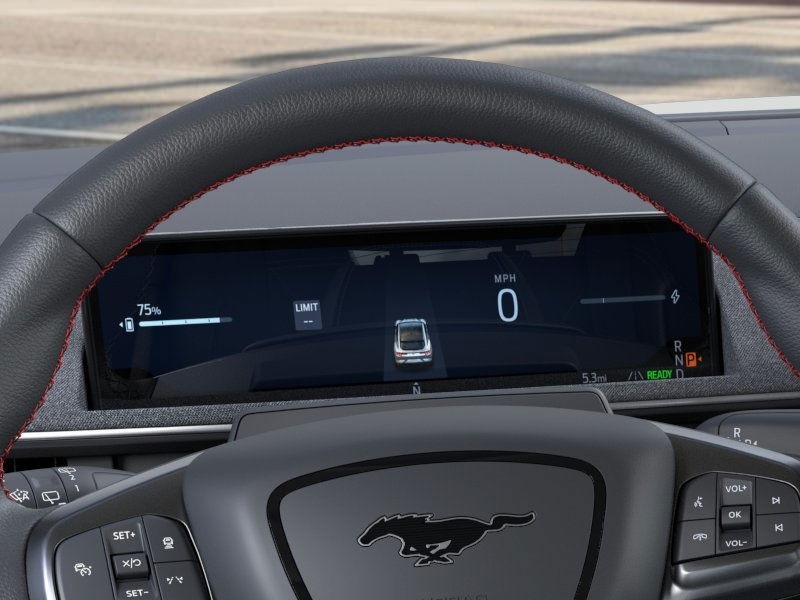 2025 Ford Mustang Mach-E Premium photo 14