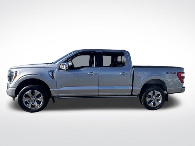 2021 Ford F-150 Platinum photo 2