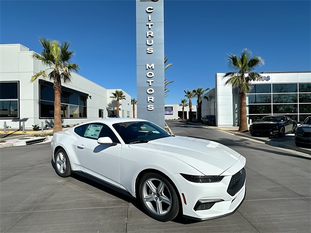 2026 Ford Mustang EcoBoost's photo