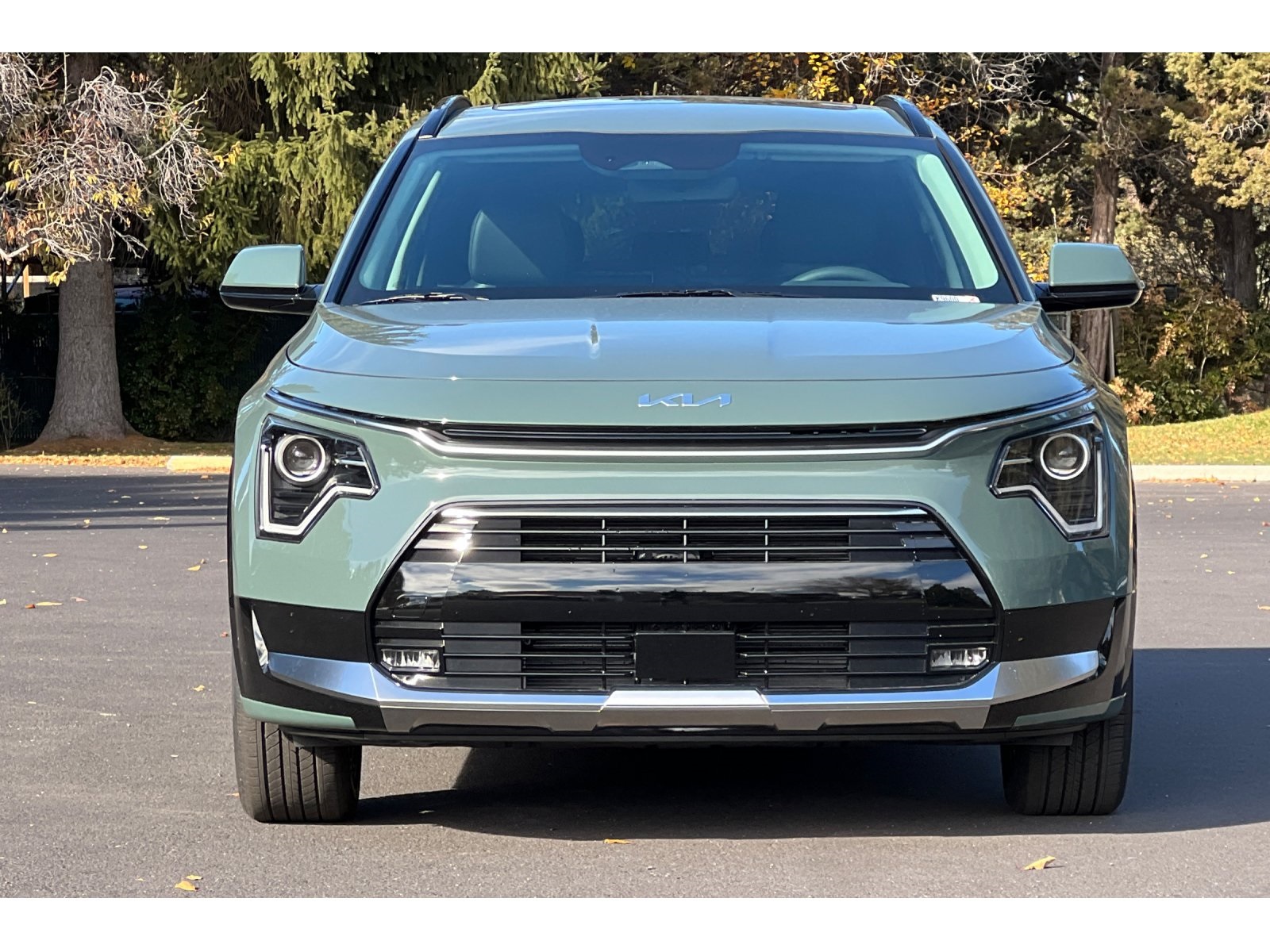 2025 Kia Niro EX Touring photo 6