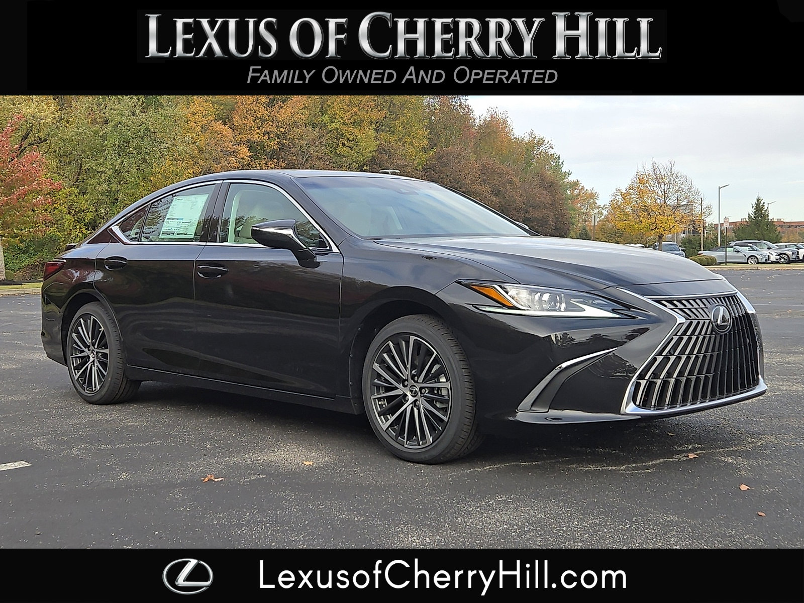 2025 Lexus ES 350's photo