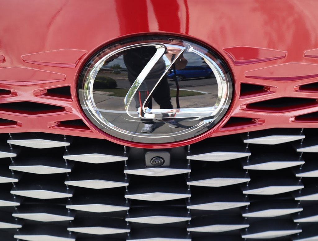 2025 Lexus RX 350 photo 13