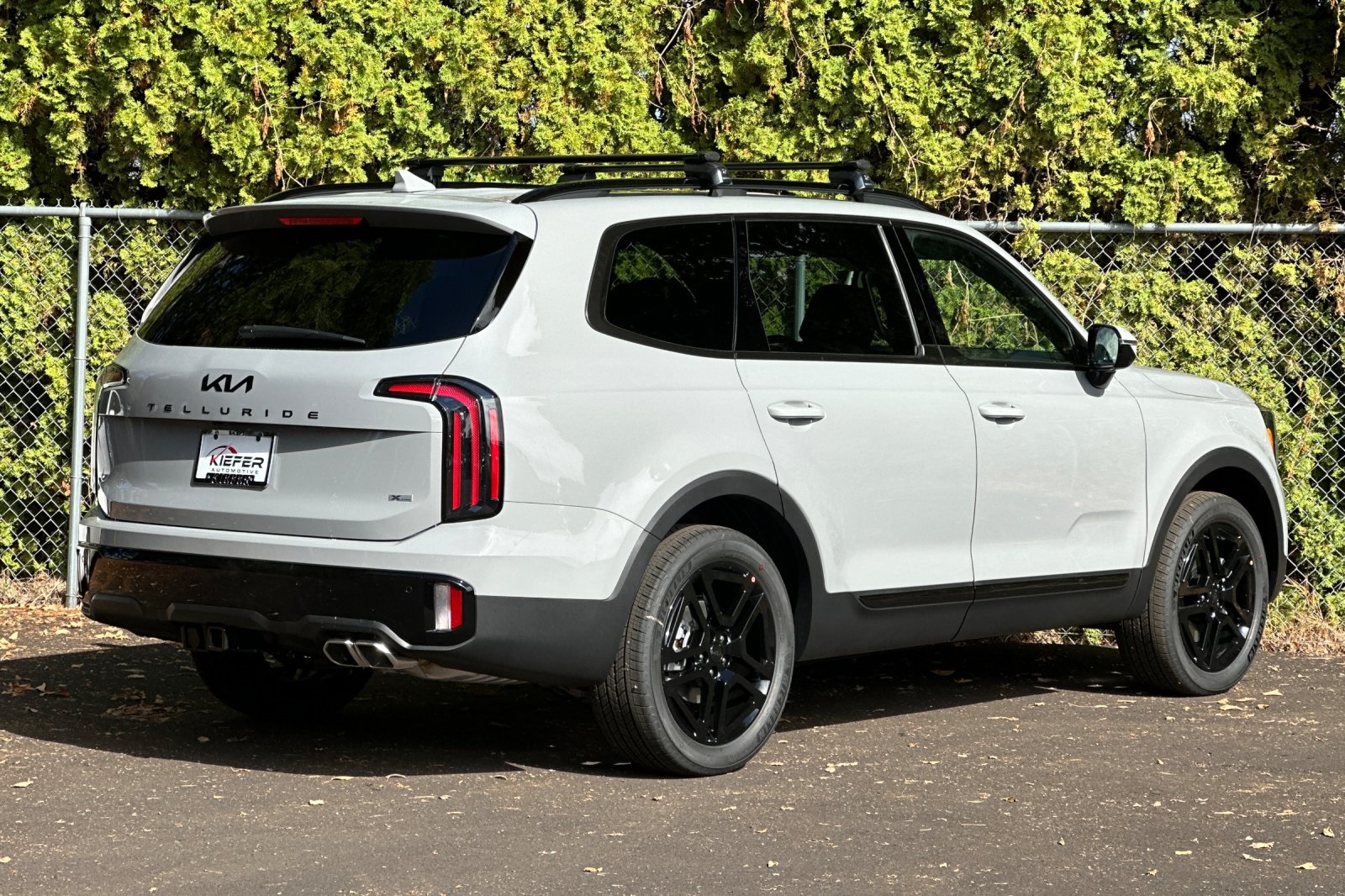 2025 Kia Telluride SX X-Line photo 3