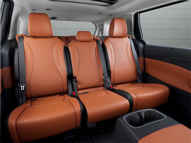 2026 Kia Carnival SX photo 7