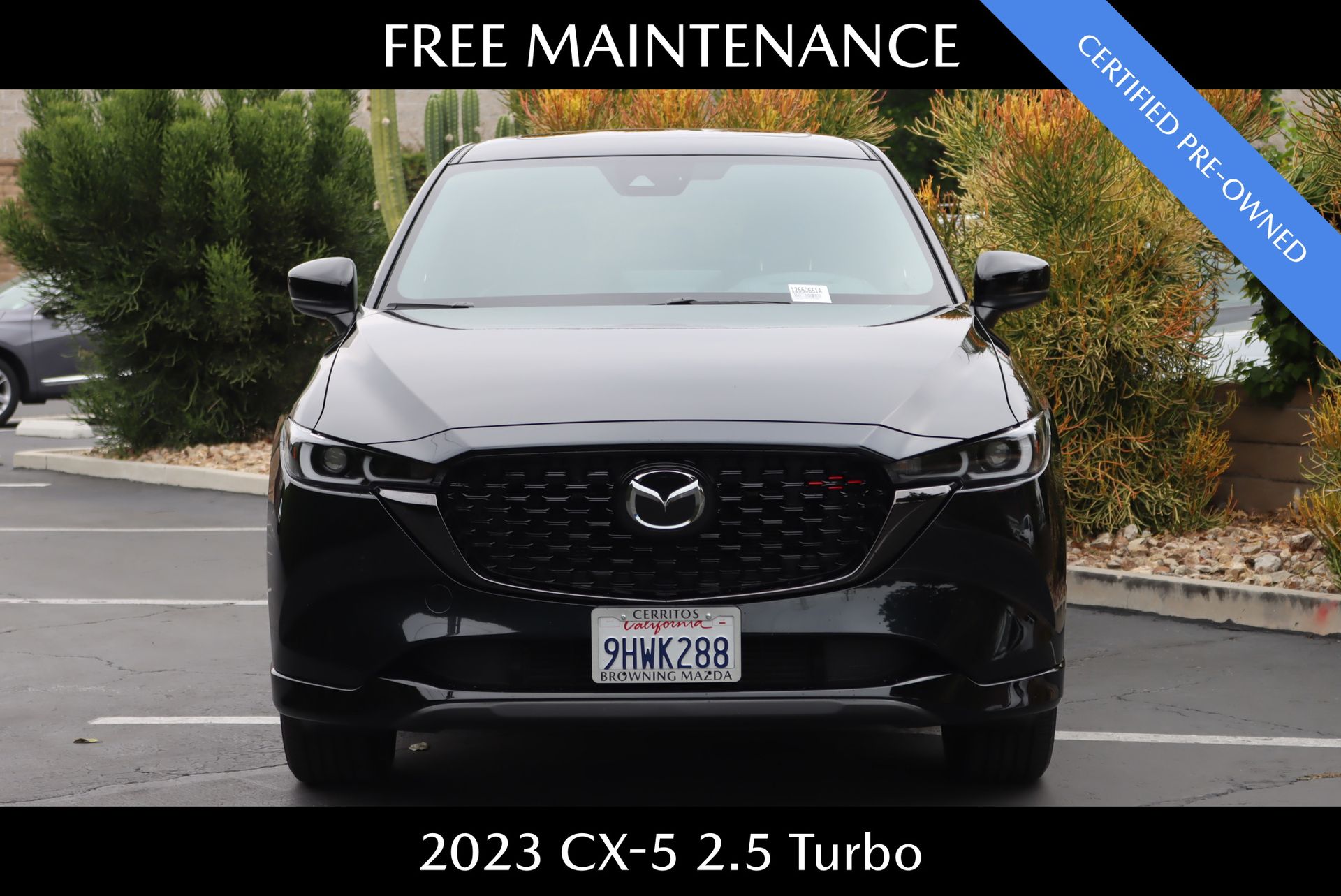 2023 Mazda CX-5 2.5 Turbo photo 3