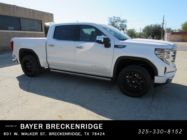 2022 Gmc Sierra 1500 Denali photo 2