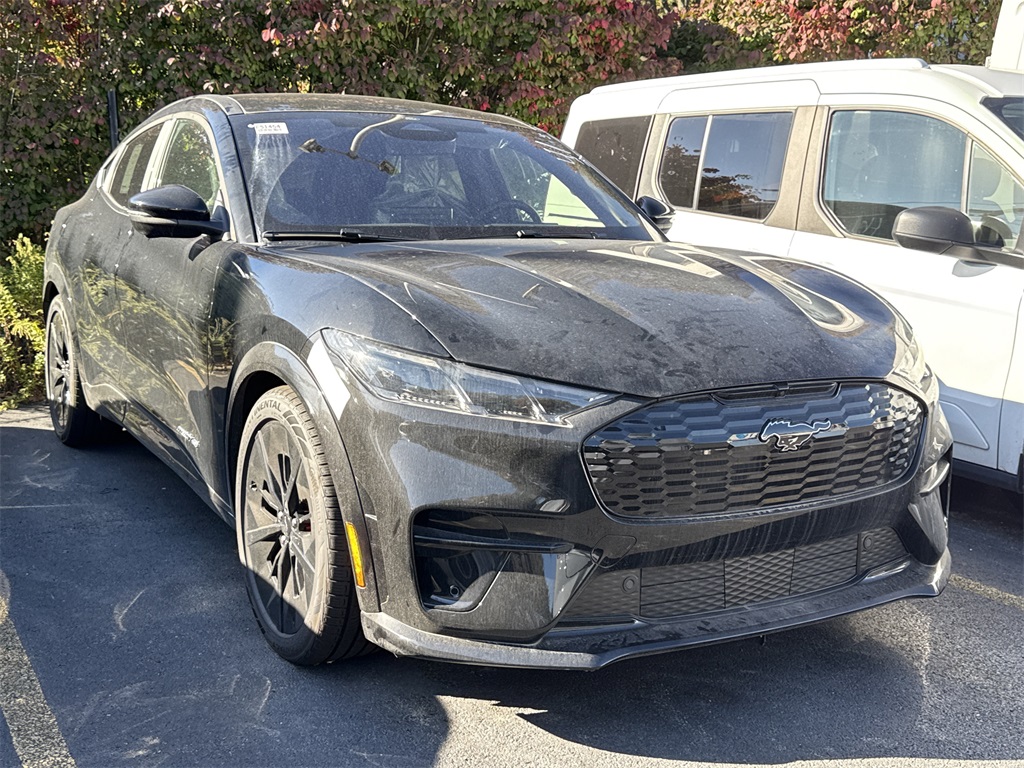 2025 Ford Mustang Mach-E GT AWD's photo