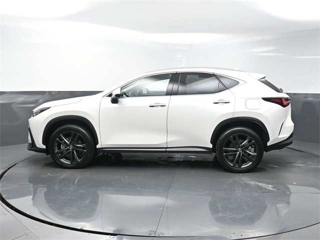 2024 Lexus NX 450h+ Luxury AWD photo 4