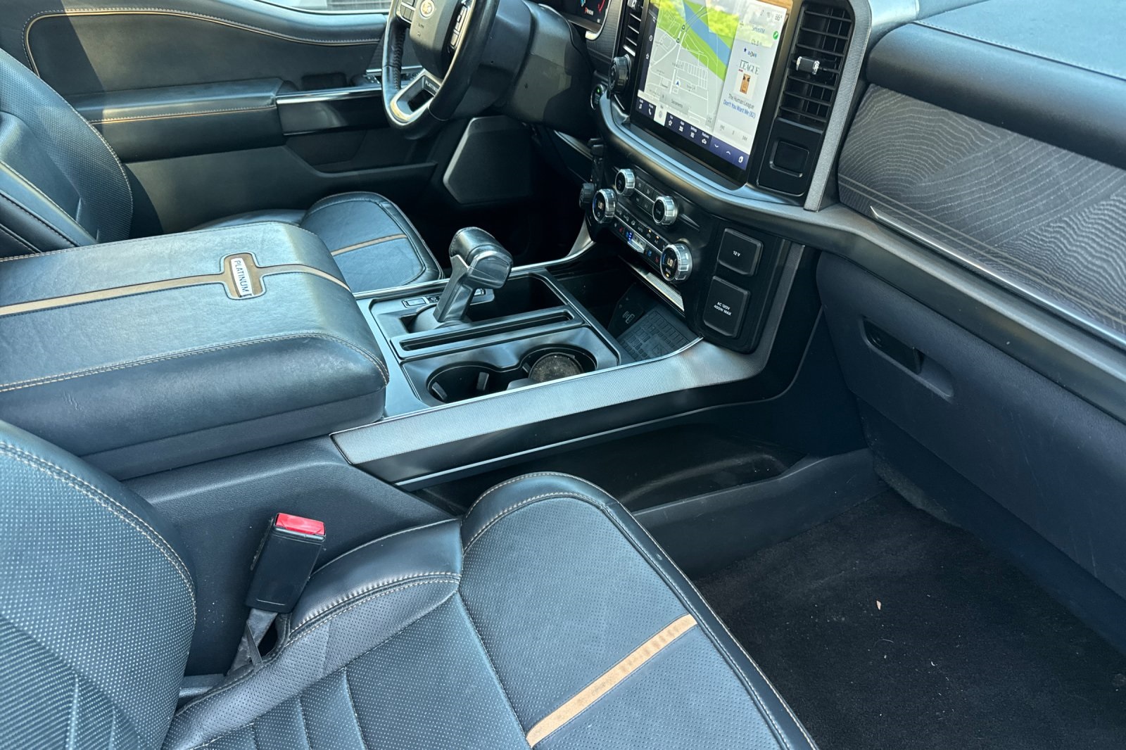 2021 Ford F-150 Platinum photo 16