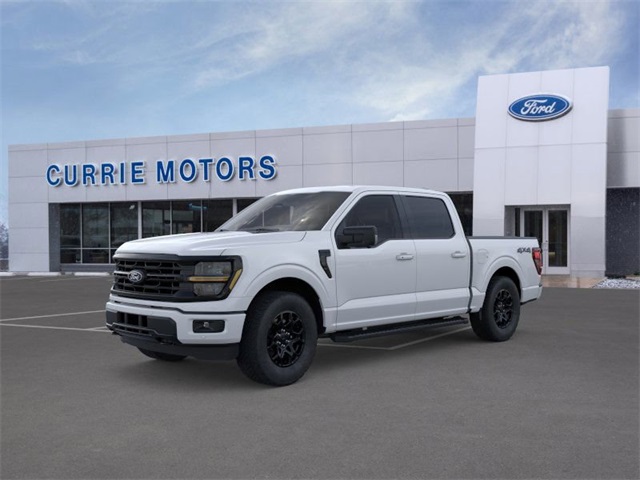 2025 Ford F-150 XLT's photo
