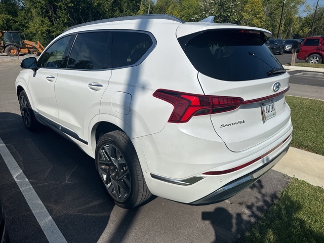 2022 Hyundai Santa Fe Calligraphy photo 4