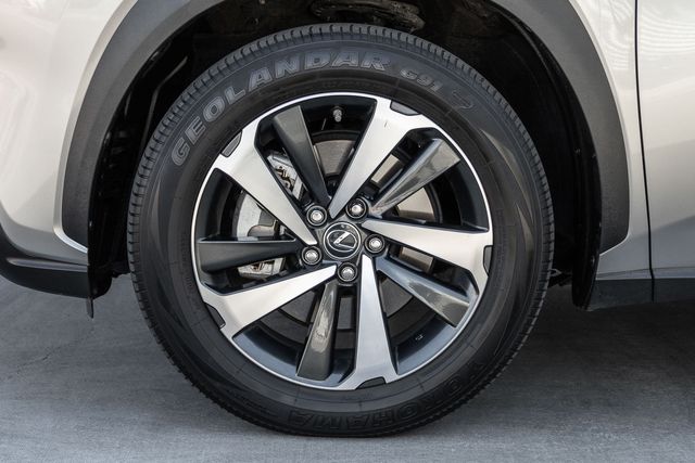 2021 Lexus NX 300h photo 15
