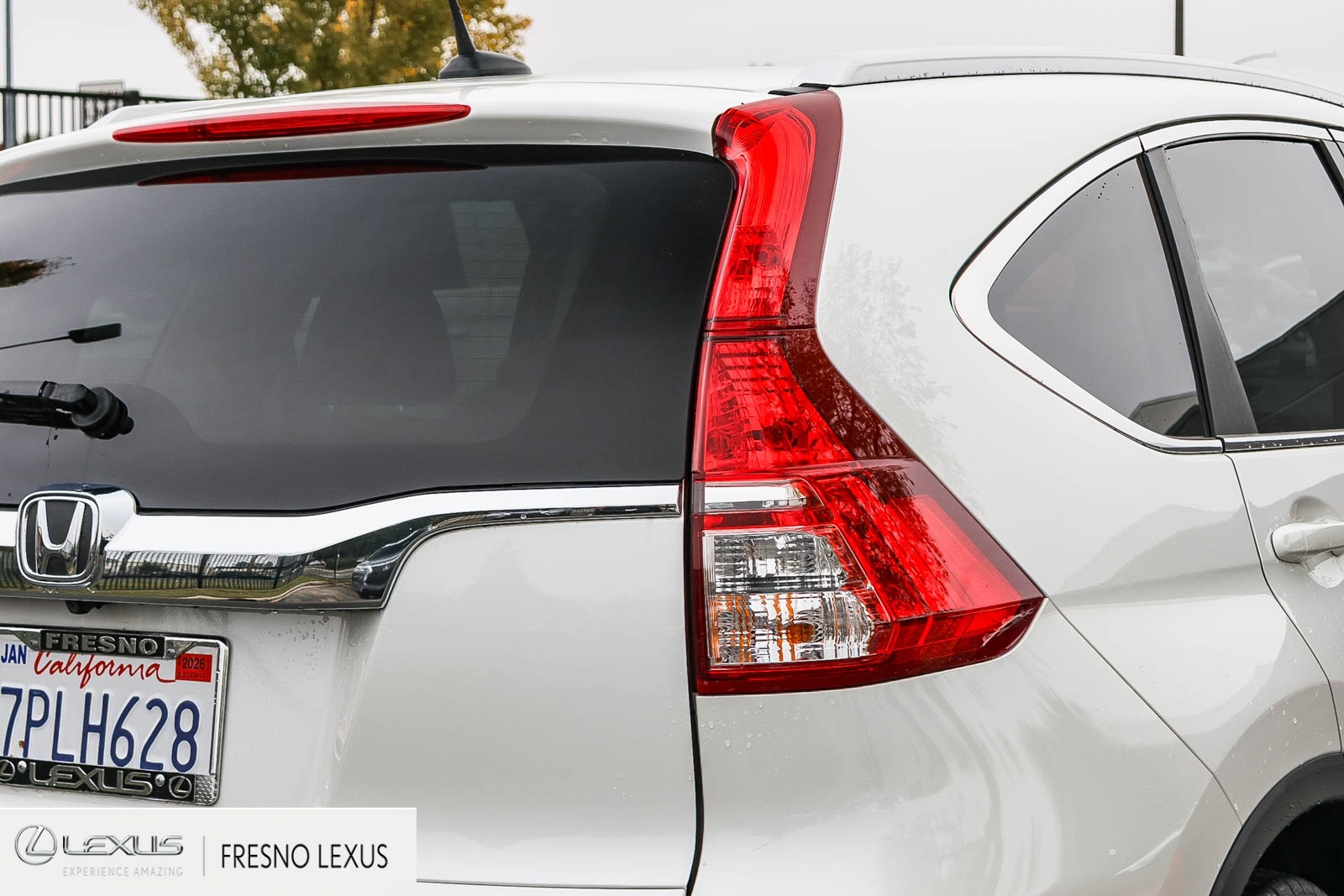 2015 Honda CR-V Touring photo 4