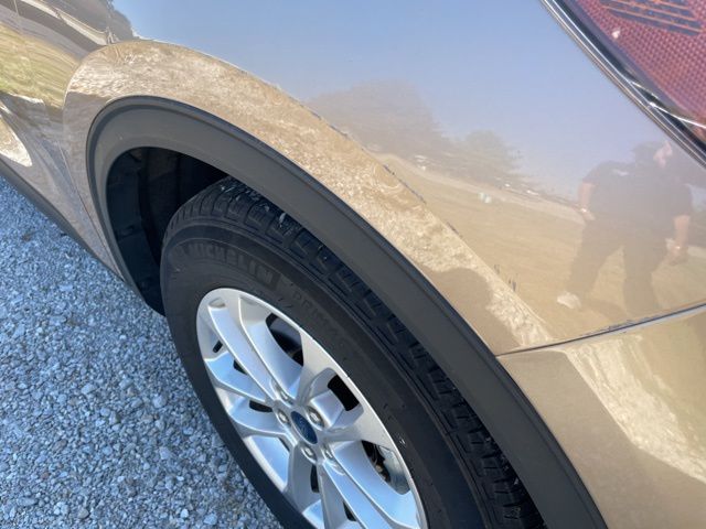 2021 Ford Escape SE Hybrid photo 6