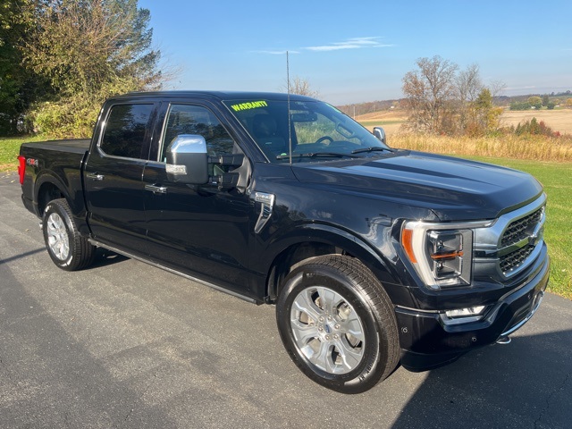 2021 Ford F-150 Platinum photo 3