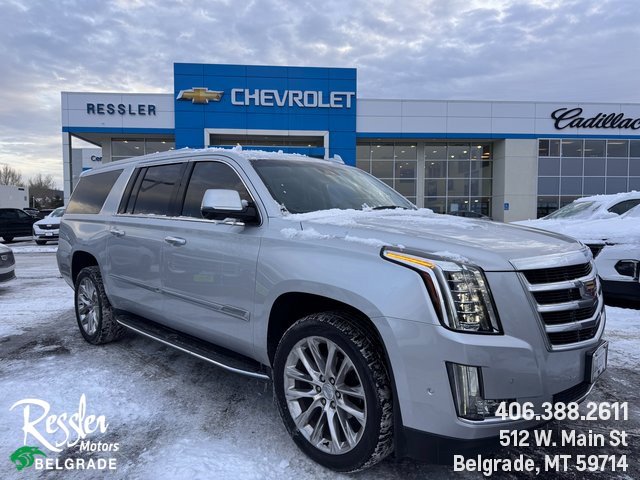 2019 Cadillac Escalade ESV Luxury's photo