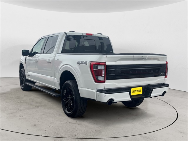 2023 Ford F-150 Platinum photo 2