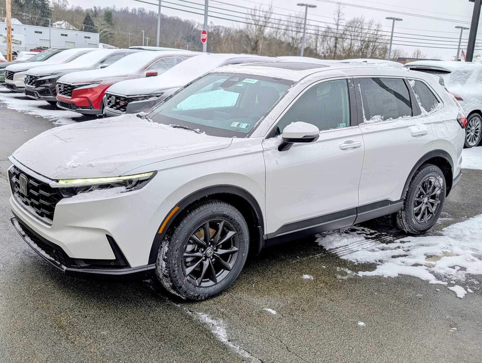 2026 Honda CR-V EX-L's photo