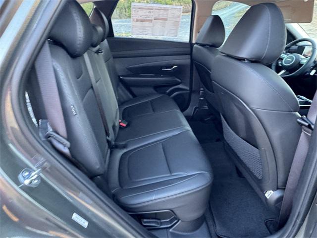 2025 Hyundai Tucson Hybrid SEL Convenience photo 15