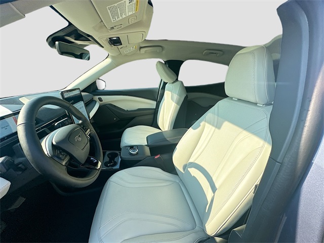 2021 Ford Mustang Mach-E Premium photo 20