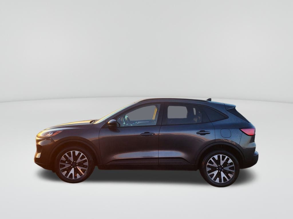 2020 Ford Escape SE Sport Hybrid photo 2