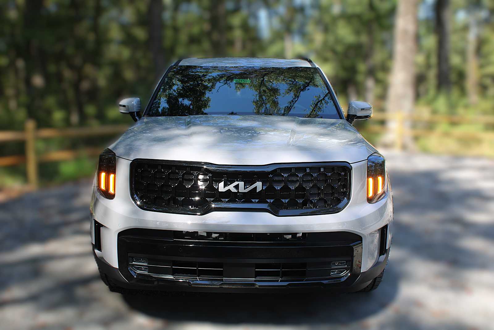 2025 Kia Telluride SX X-Line photo 13