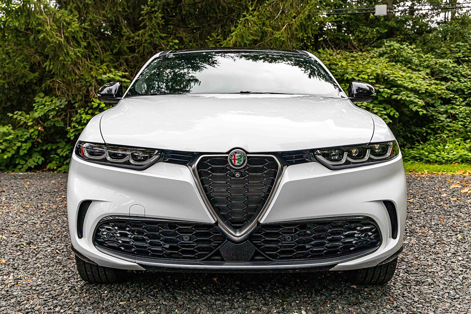 2024 Alfa Romeo Tonale Ti photo 2