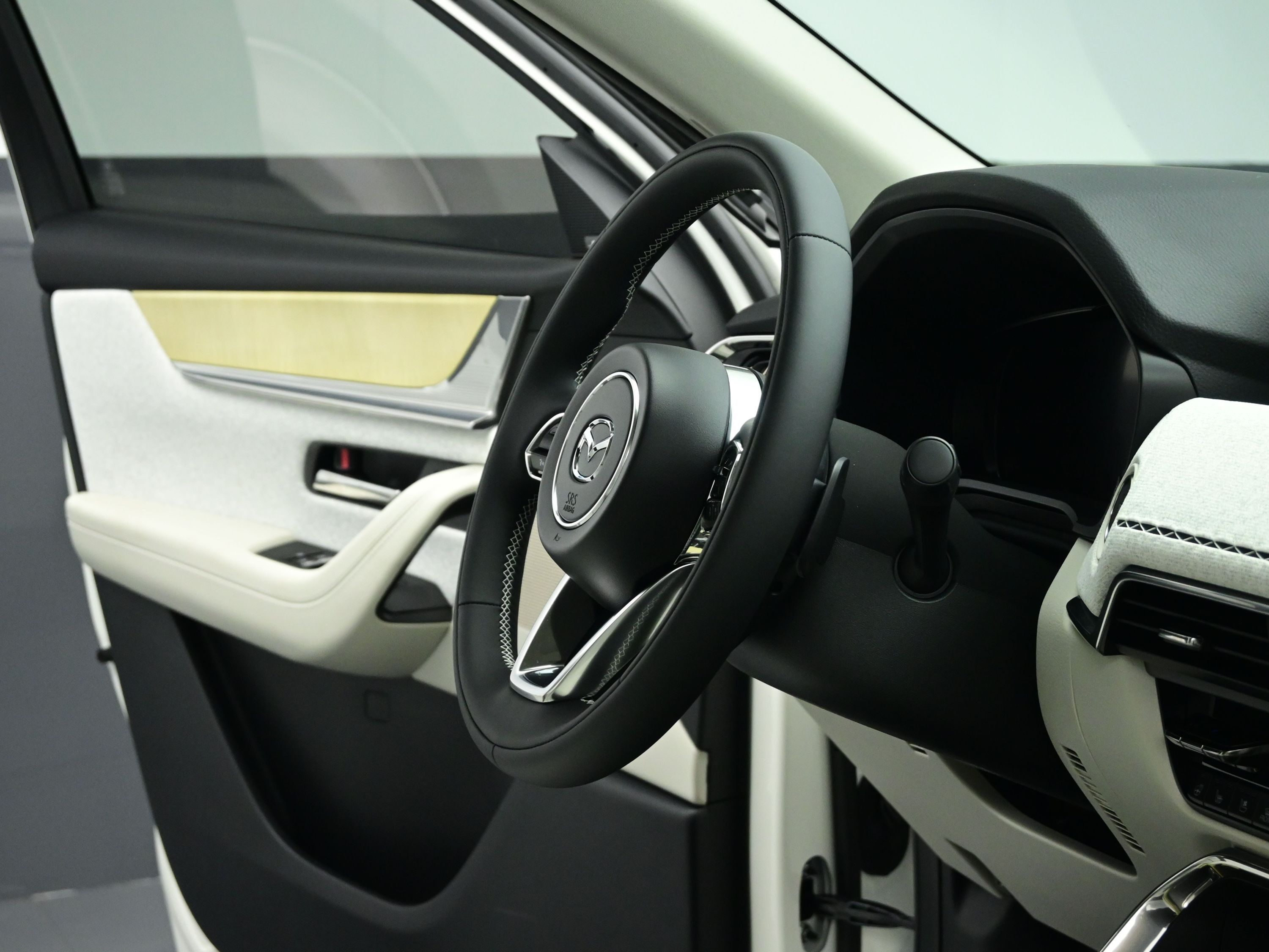 2025 Mazda CX-90 3.3 Turbo Premium Plus photo 33