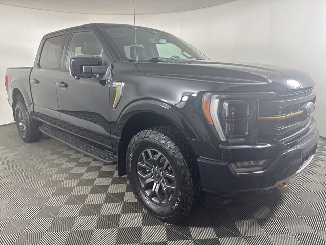 2023 Ford F-150 Tremor's photo