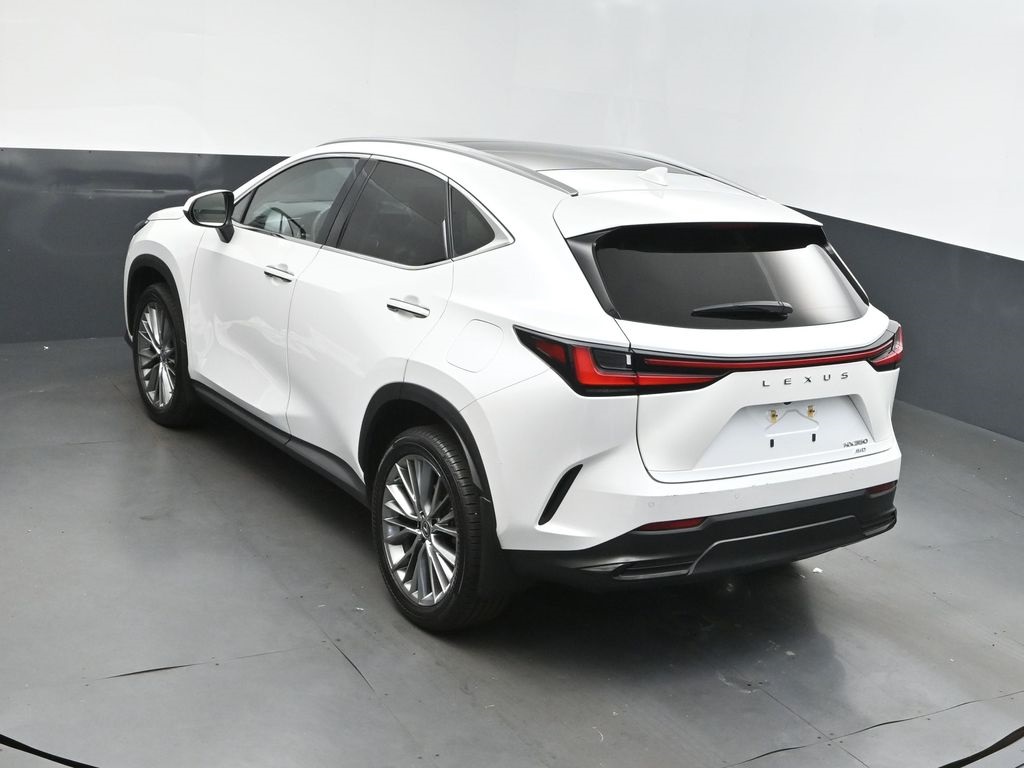 2023 Lexus NX 350 Luxury photo 31