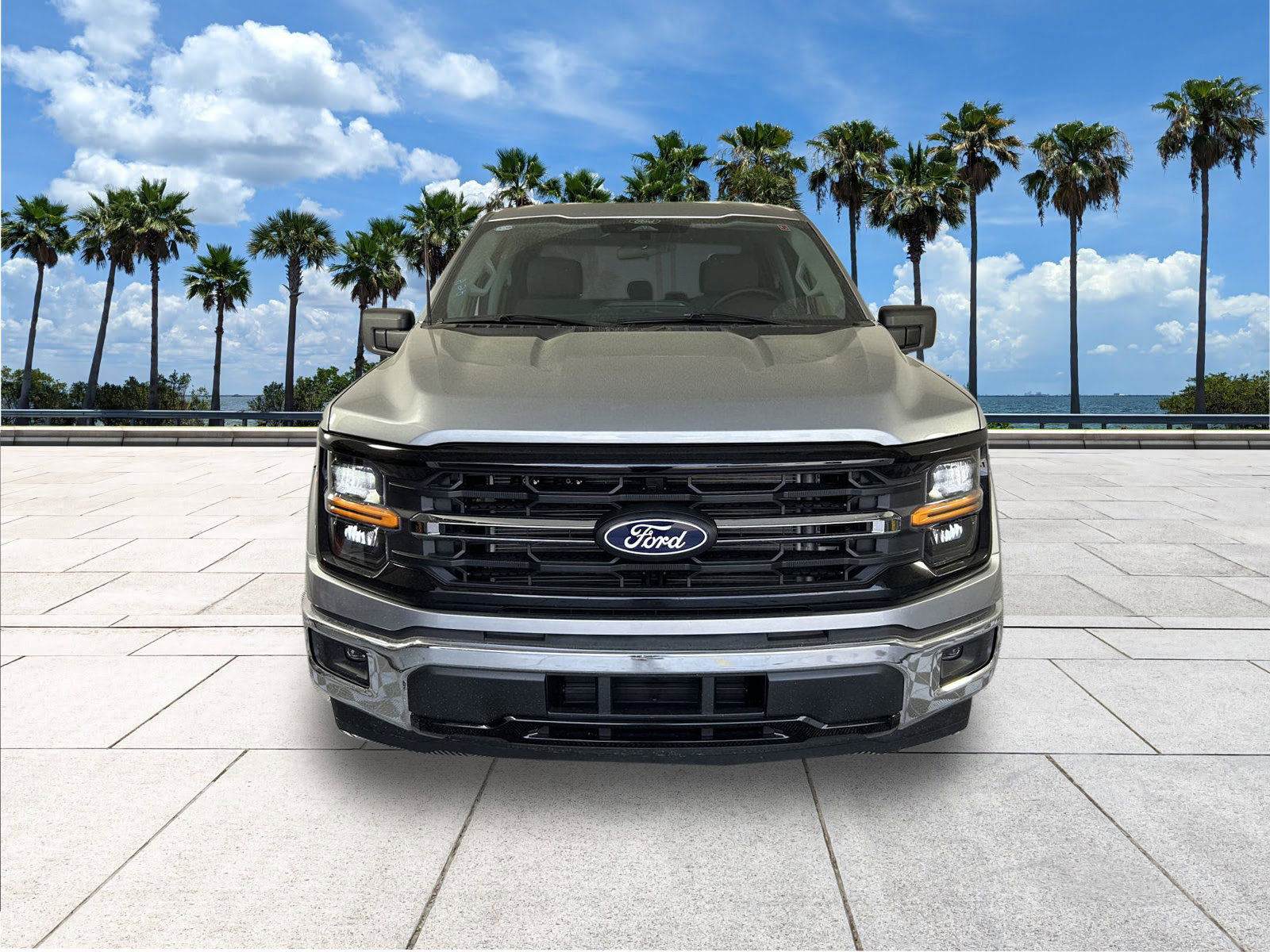 2025 Ford F-150 XLT photo 3