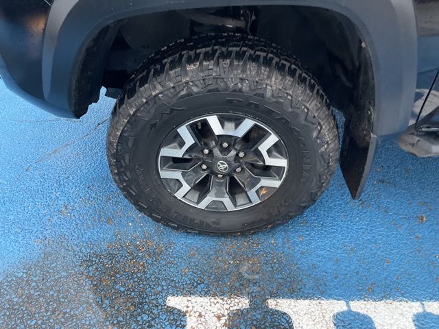 2023 Toyota Tacoma TRD Off-Road photo 3