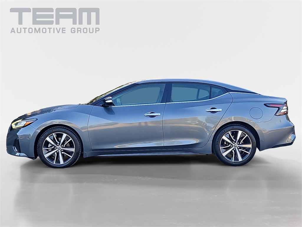 2019 Nissan Maxima SV photo 4