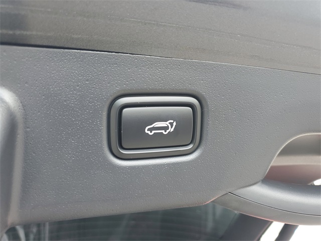 2025 Kia Niro Plug-In Hybrid SX photo 6