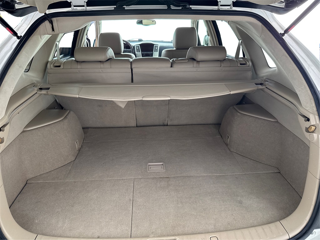 2006 Lexus RX 400h photo 13