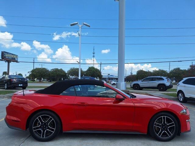 2019 Ford Mustang EcoBoost Premium photo 6
