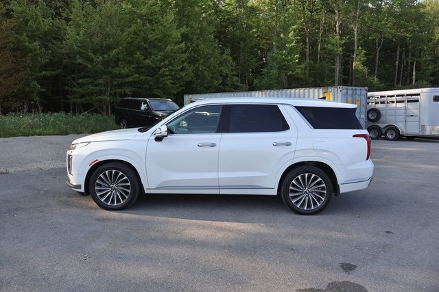 2025 Hyundai Palisade Calligraphy photo 3