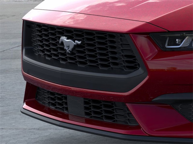 2025 Ford Mustang EcoBoost photo 16